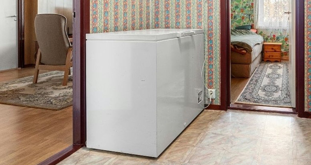 japonyada tuyler urperten olay kizinin cesedini 20 yil dondurucuda sakladi 7kSF2Js6