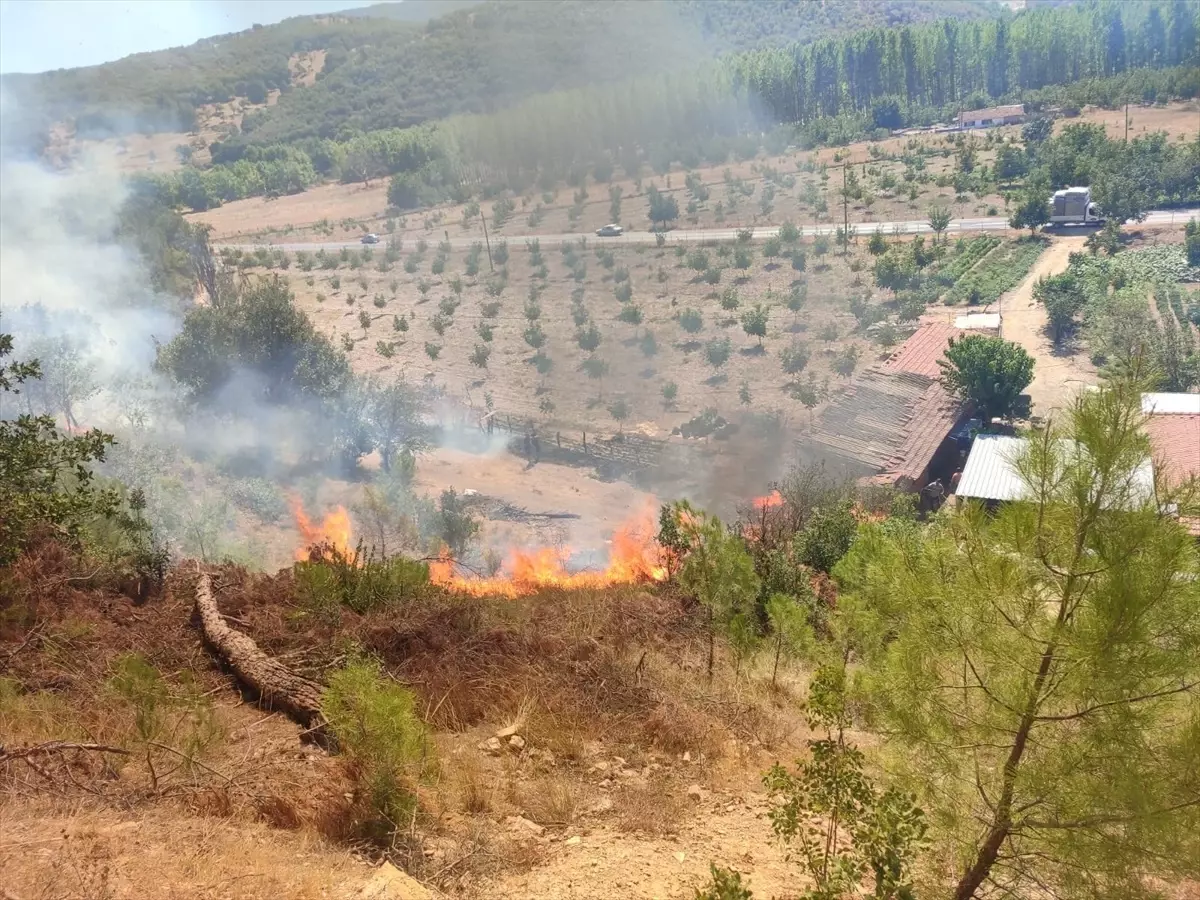 sindirgida orman yangini kontrol altinda wHrcqZMN