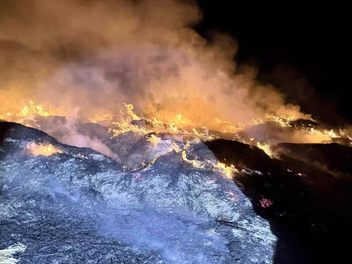 afyonkarahisarda yangin eber golunden toplanan kamislarin depolari alev aldi 7S1g82Hk