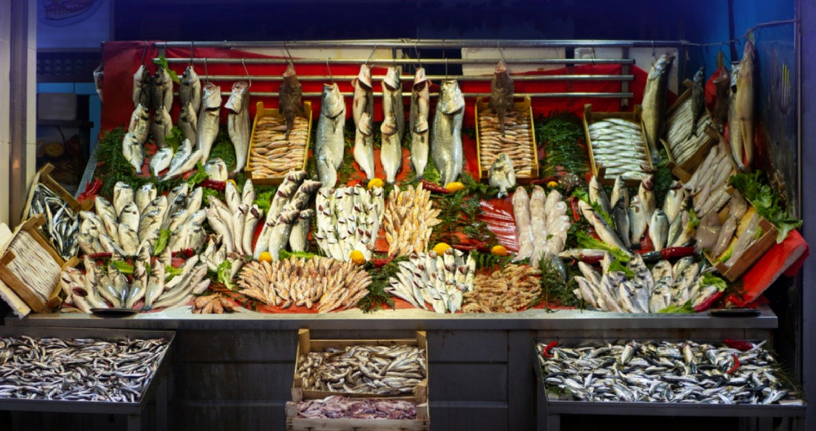 balik tezgahlarinda fiyatlar gecen yilin 4 kati eja51p5c