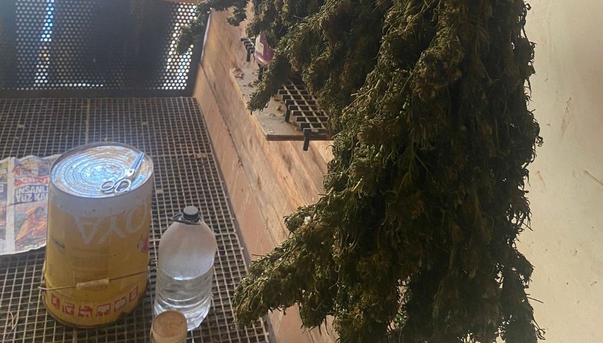 bursada guvercin kumesine gizlenmis uyusturucubulundu OdWG8eUa