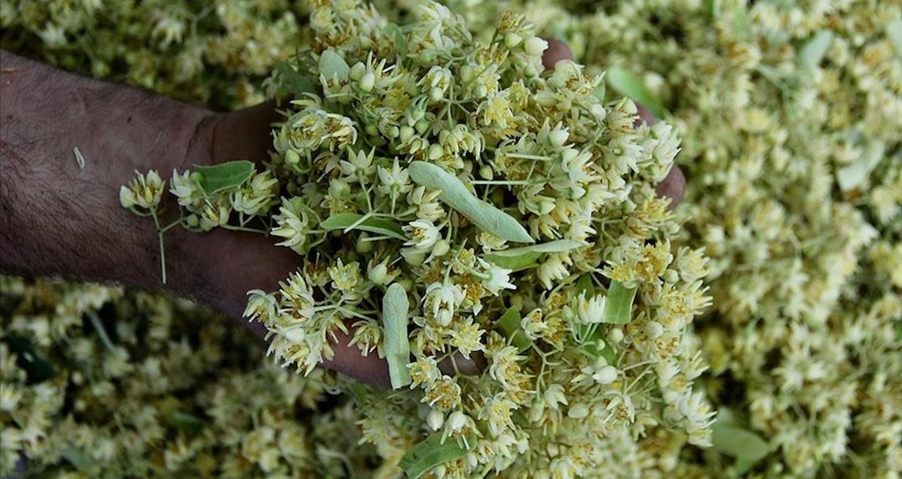 degeri altinla yarisiyor ama sonbahar geldi kapis kapis satiliyor 7pU11lsI.jpg