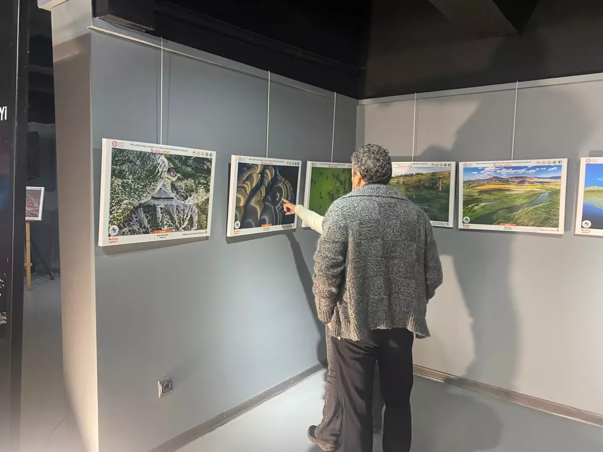 nallihan kus cennetinde foto safari sergisi acildi e41xYZs3