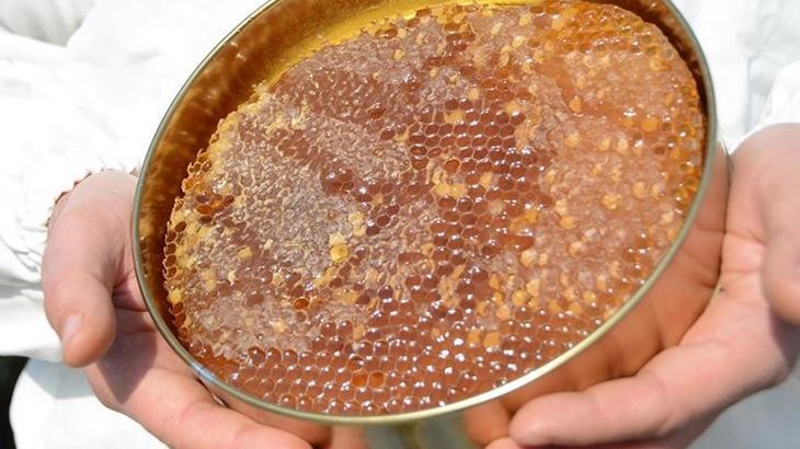 turk balinda 234 milyon dolarlik ihracat gerceklestirildi Xk1yiwJZ.jpg