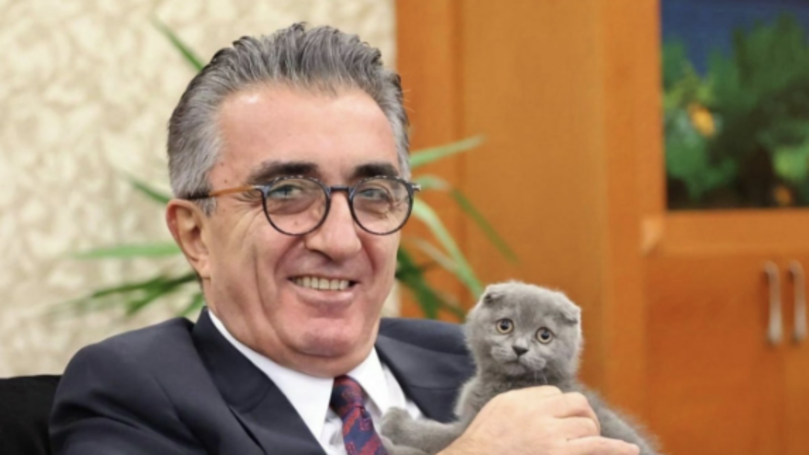 iddia tutuklu bayrampasa belediye baskani mutlunun kedisi sokaga atilmaya calisildi chpli meclis uyesi sahiplendi hcBJAC3Y.jpg