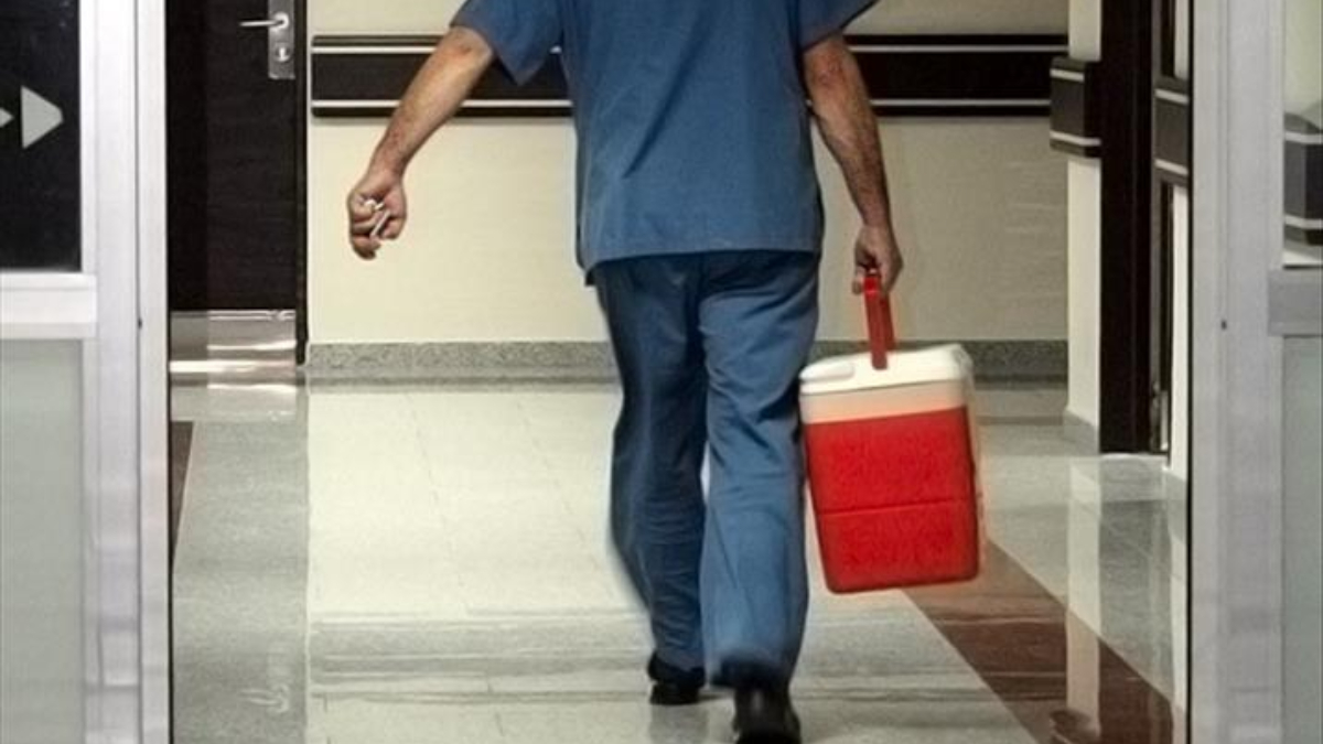 turkiyede 33 bine yakin hasta organ nakli bekliyor 7ELwM2PF.jpg