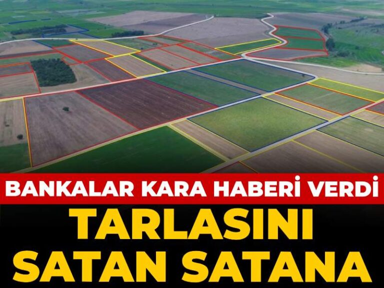 bankalar-kara-haberi-verdi-tarlasini-satan-satana-7uEiZr4R